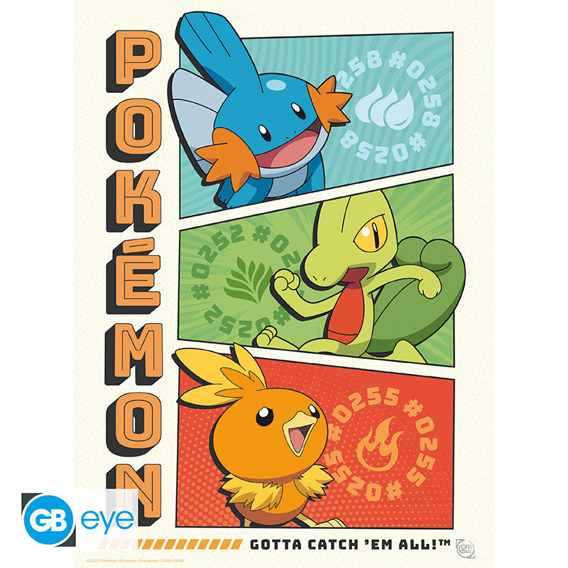 Pokémon Poster Portfolio Starters GB eye 21x29.7cm