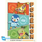 Pokémon Poster Portfolio Starters GB eye 21x29.7cm