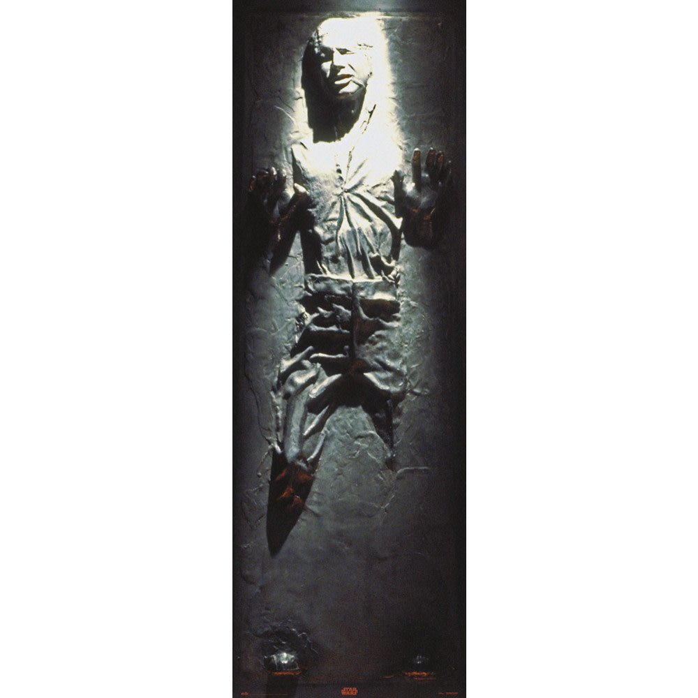 Star Wars: Han Solo Carbonite Door Poster - Fans Geek Store