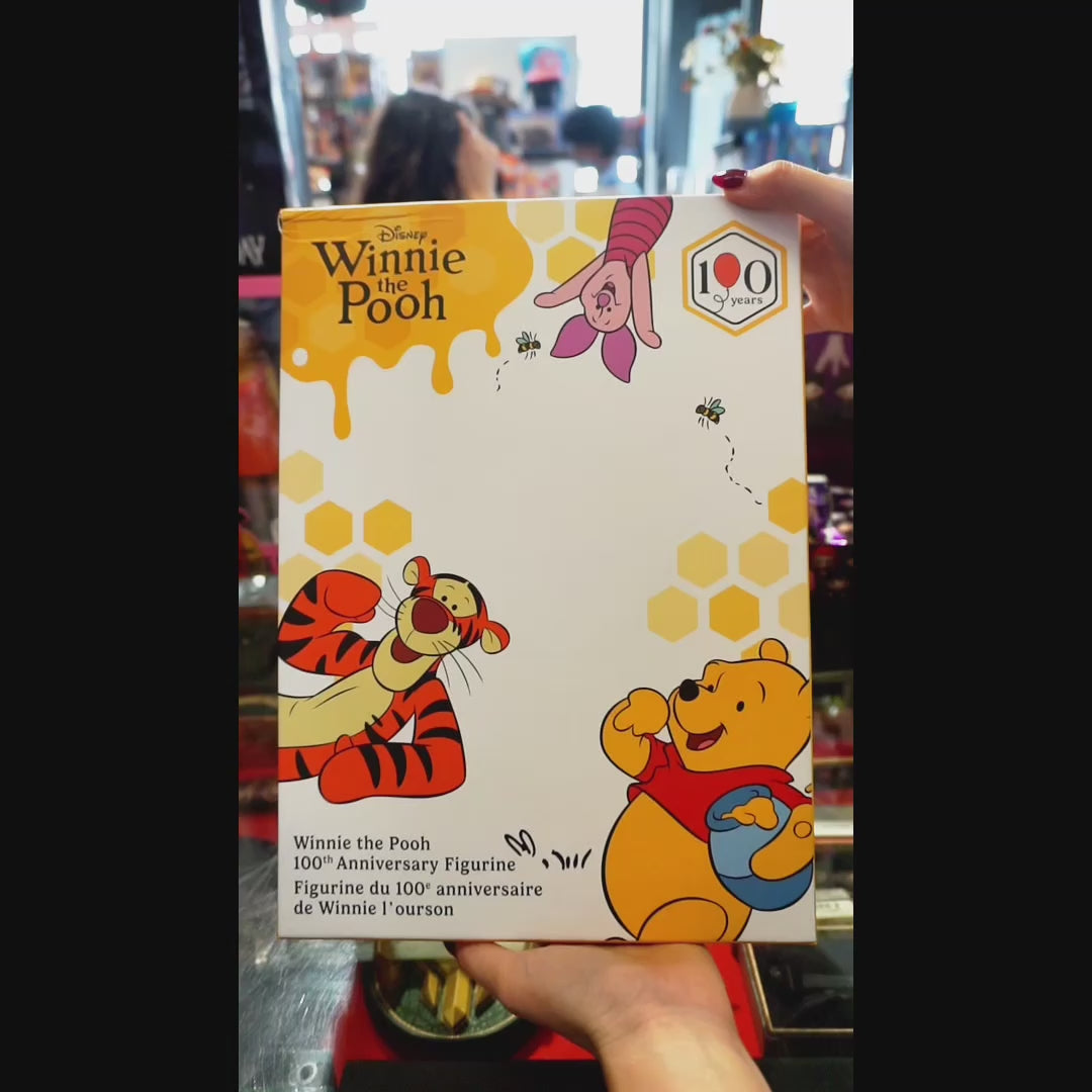 Disney Winnie The Pooh 100 Jaar Rainbow Figurine – Limited Edition 1/1000