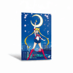 Sailor Moon maxiposter – 91,5 × 61 cm - Fans Geek Storeproduct_type#GB Eye