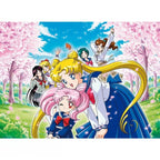 SAILOR MOON - Postcards - Fans Geek Store