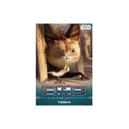 The Mandalorian Trading Cards Starter Pack met 20 Kaarten - Topps - Fans Geek Storeproduct_typeTopps