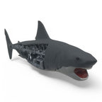 Jaws Prop Replica 1/1 Mechanical Bruce Shark - Fans Geek Store
