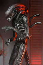 Alien: Romulus Action Figure Ultimate Xenomorph XX121 - Fans Geek Store