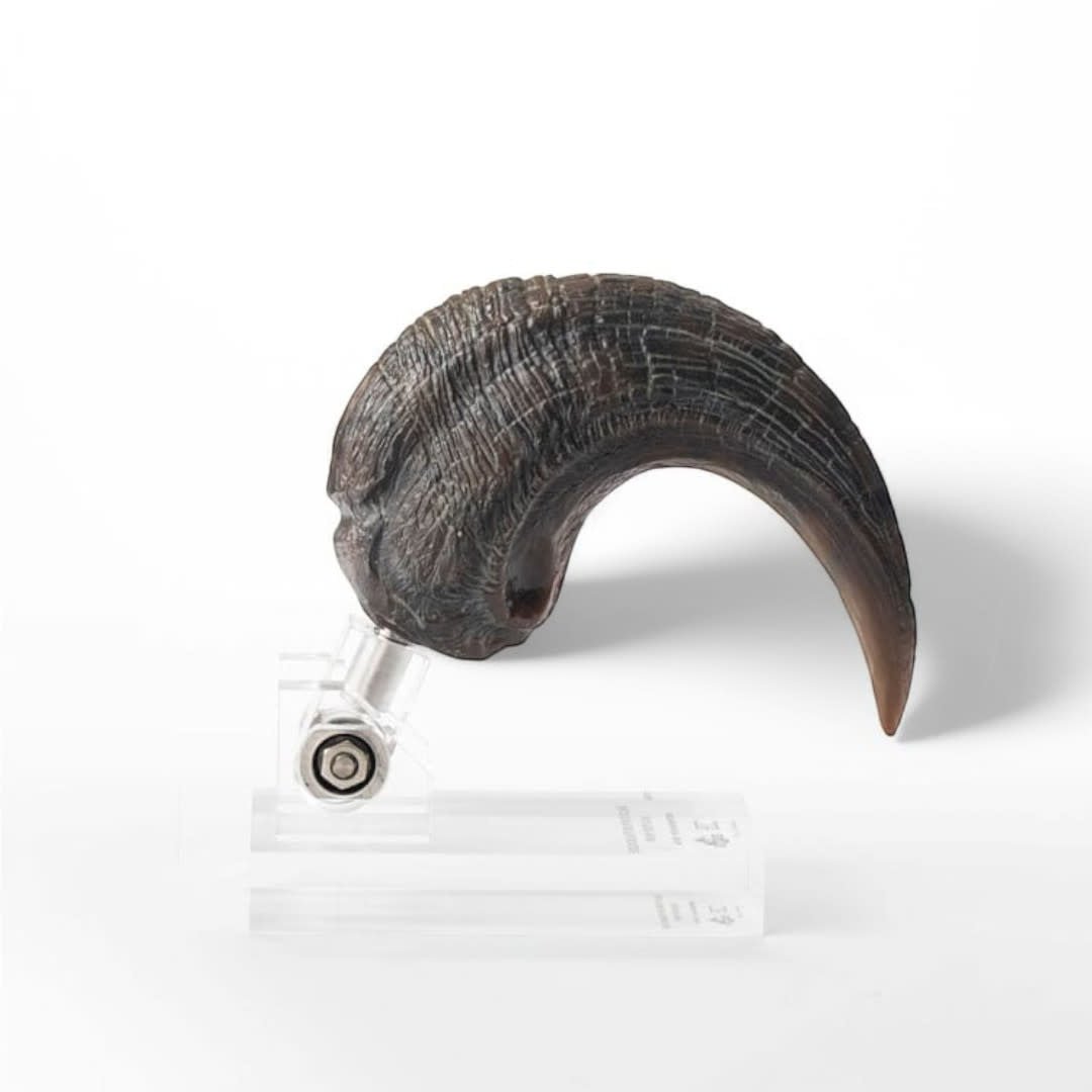 Jurassic Park ECC Elite Creature Line Statue Velociraptor Foot Claw Prop - Fans Geek Store
