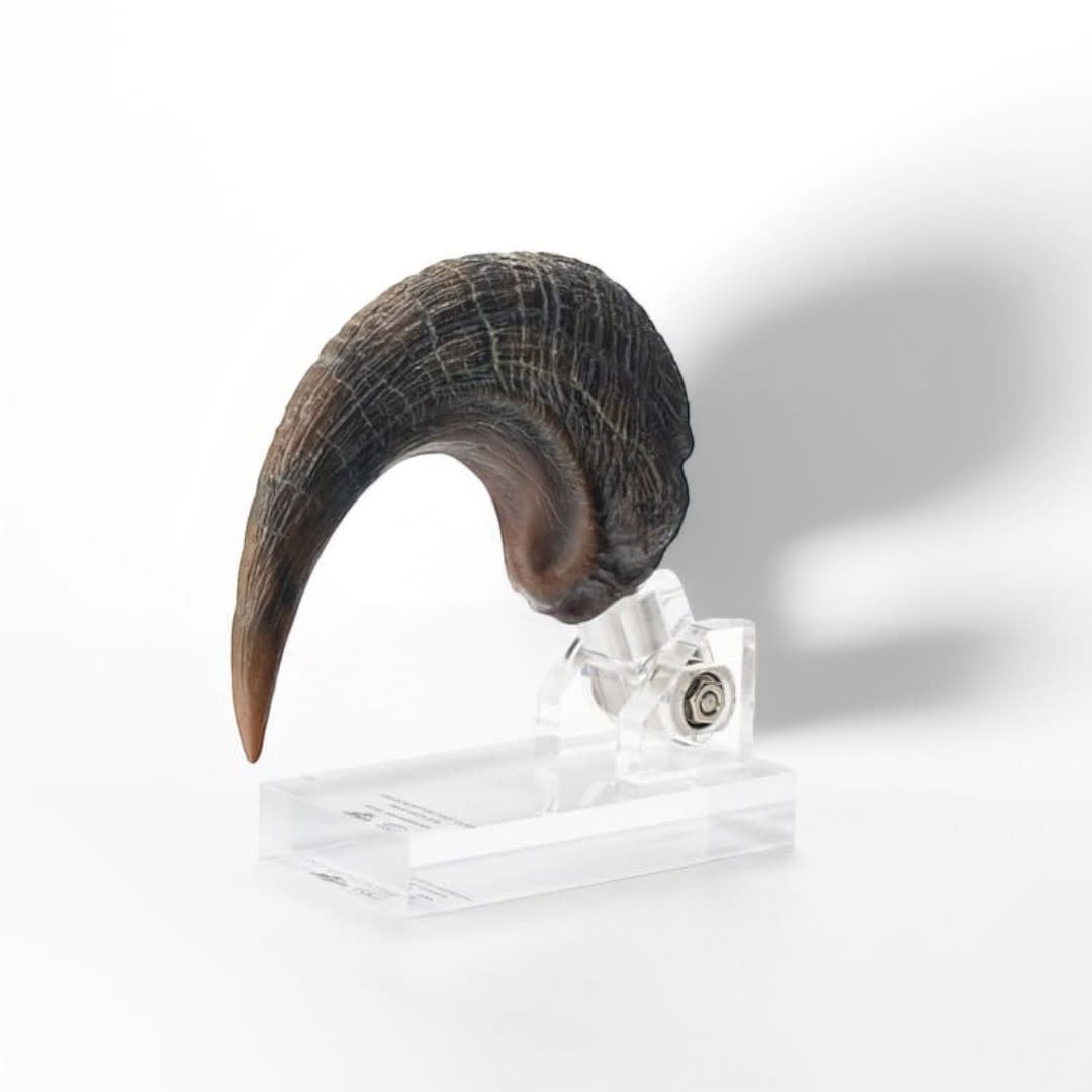 Jurassic Park ECC Elite Creature Line Statue Velociraptor Foot Claw Prop - Fans Geek Store