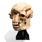 Lord of the Rings Mini Statue Skull of a Cave Troll 21 cm - Fans Geek Store