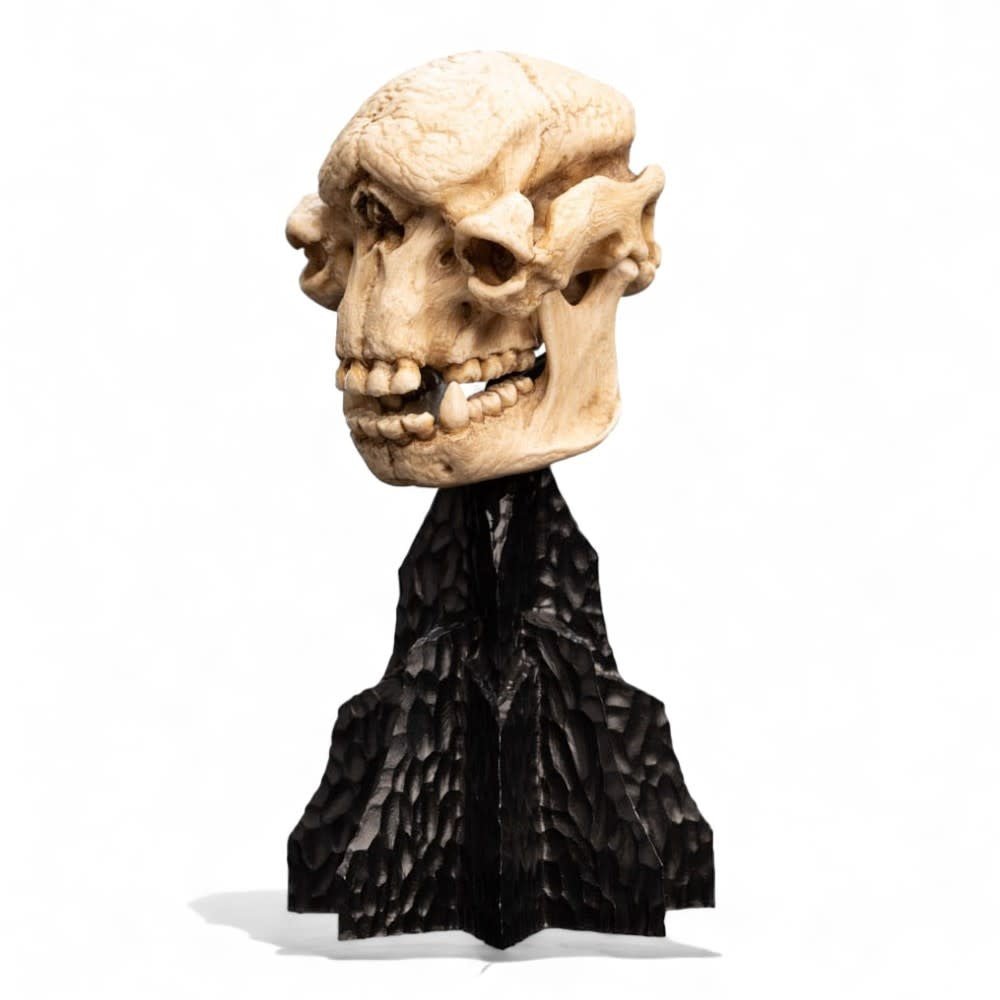 Lord of the Rings Mini Statue Skull of a Cave Troll 21 cm - Fans Geek Store