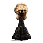 Lord of the Rings Mini Statue Skull of a Cave Troll 21 cm - Fans Geek Store