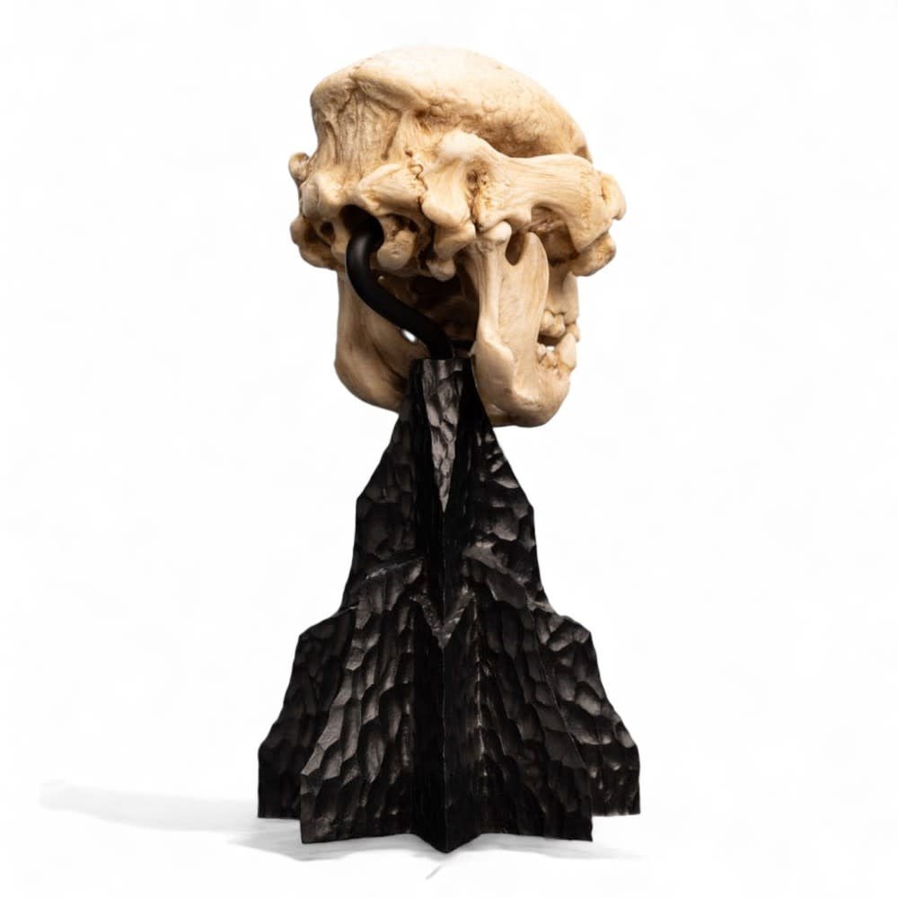 Lord of the Rings Mini Statue Skull of a Cave Troll 21 cm - Fans Geek Store