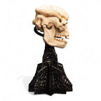 Lord of the Rings Mini Statue Skull of a Cave Troll 21 cm - Fans Geek Store