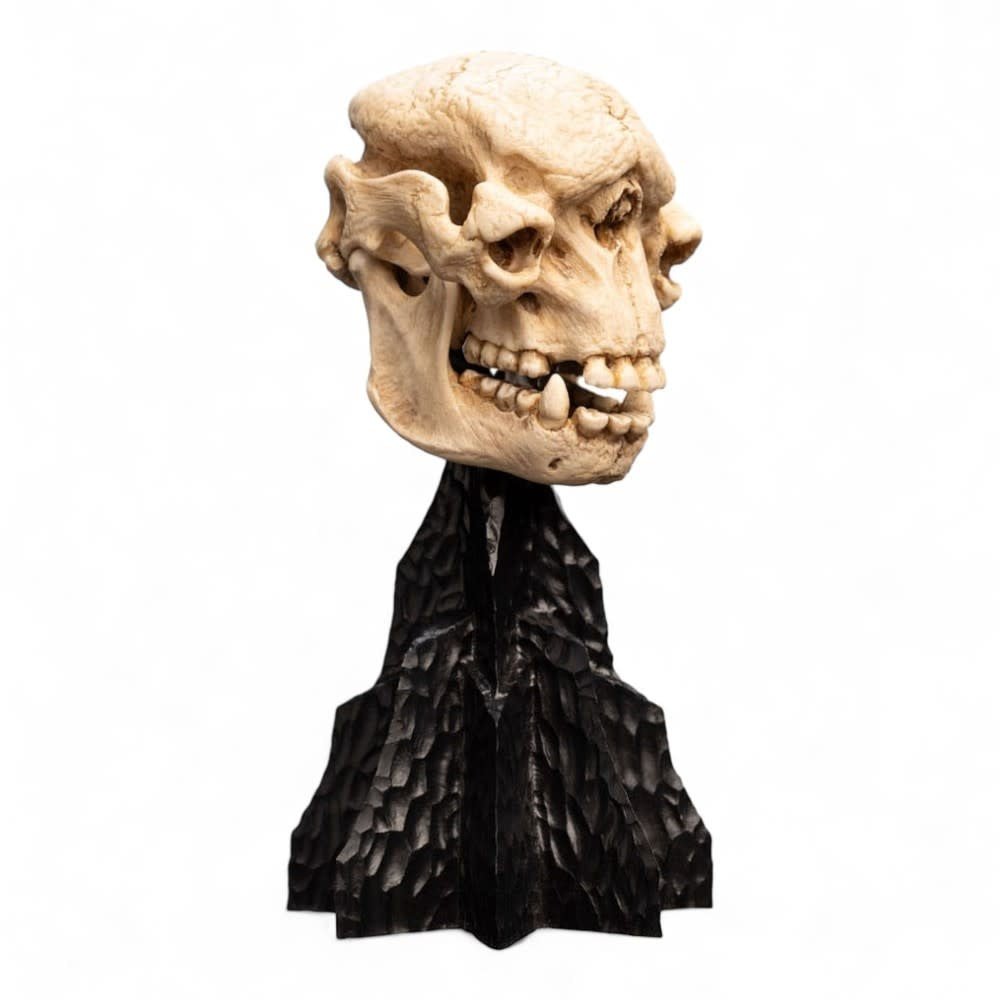 Lord of the Rings Mini Statue Skull of a Cave Troll 21 cm - Fans Geek Store