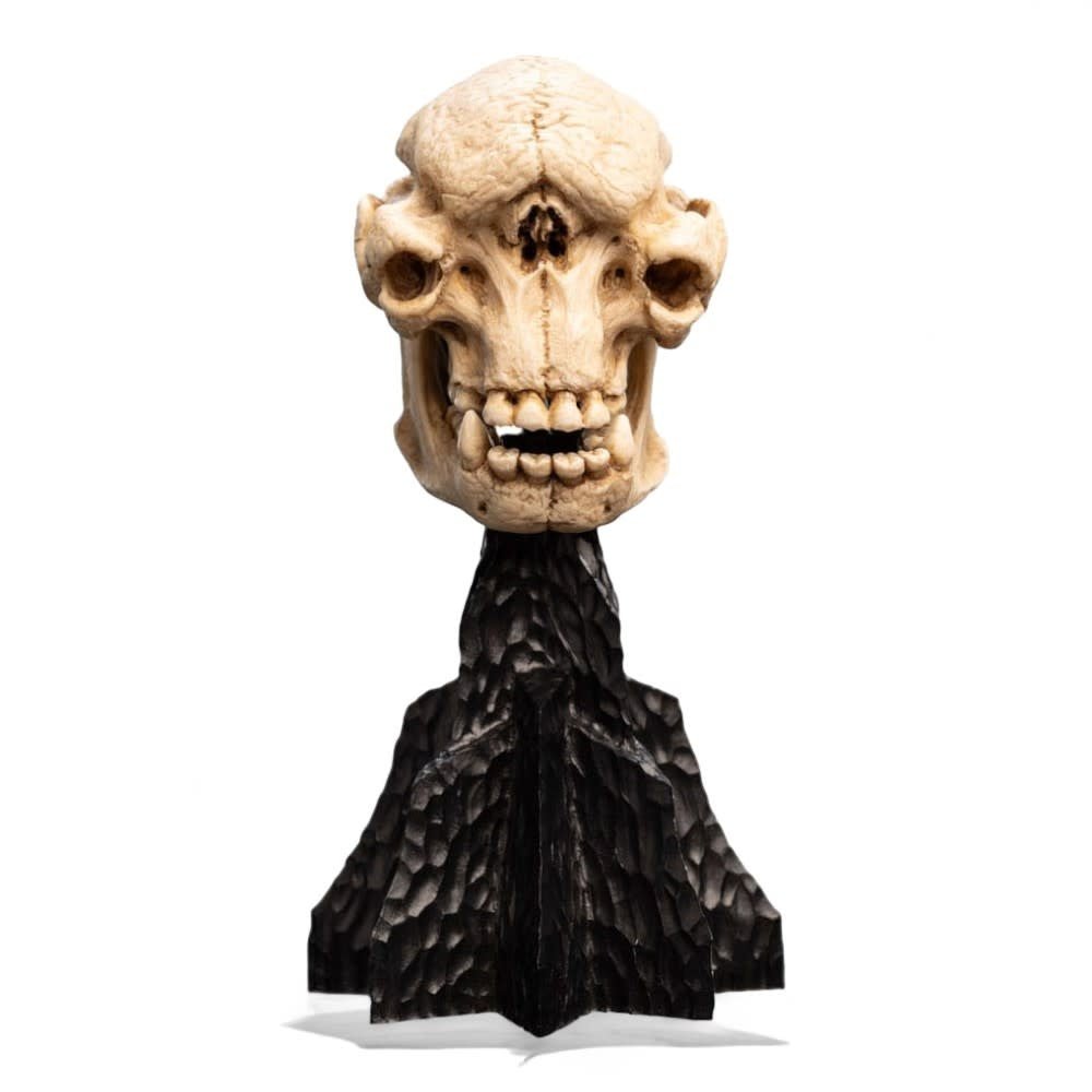 Lord of the Rings Mini Statue Skull of a Cave Troll 21 cm - Fans Geek Store