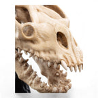Lord of the Rings Mini Statue Skull of a Fell Beast 21 cm - Fans Geek Store