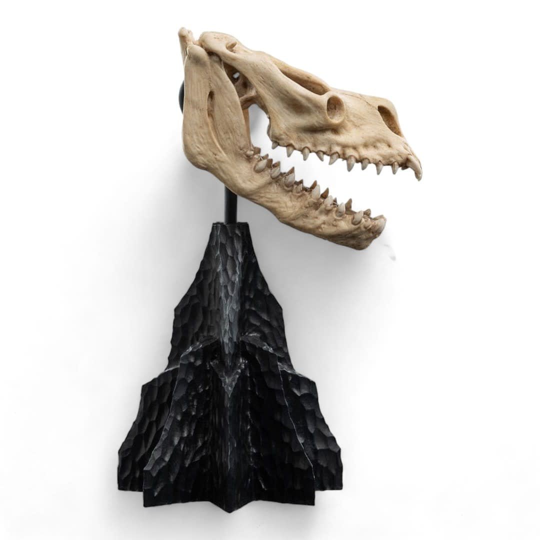 Lord of the Rings Mini Statue Skull of a Fell Beast 21 cm - Fans Geek Store