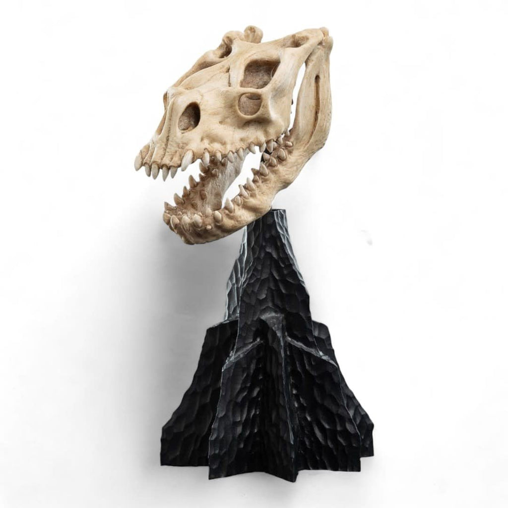 Lord of the Rings Mini Statue Skull of a Fell Beast 21 cm - Fans Geek Store