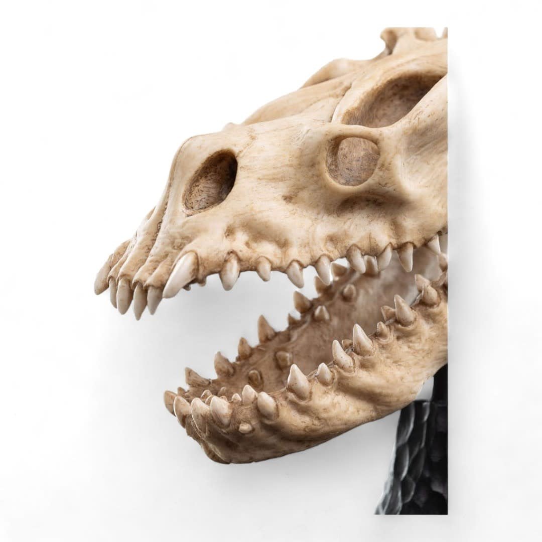 Lord of the Rings Mini Statue Skull of a Fell Beast 21 cm - Fans Geek Store