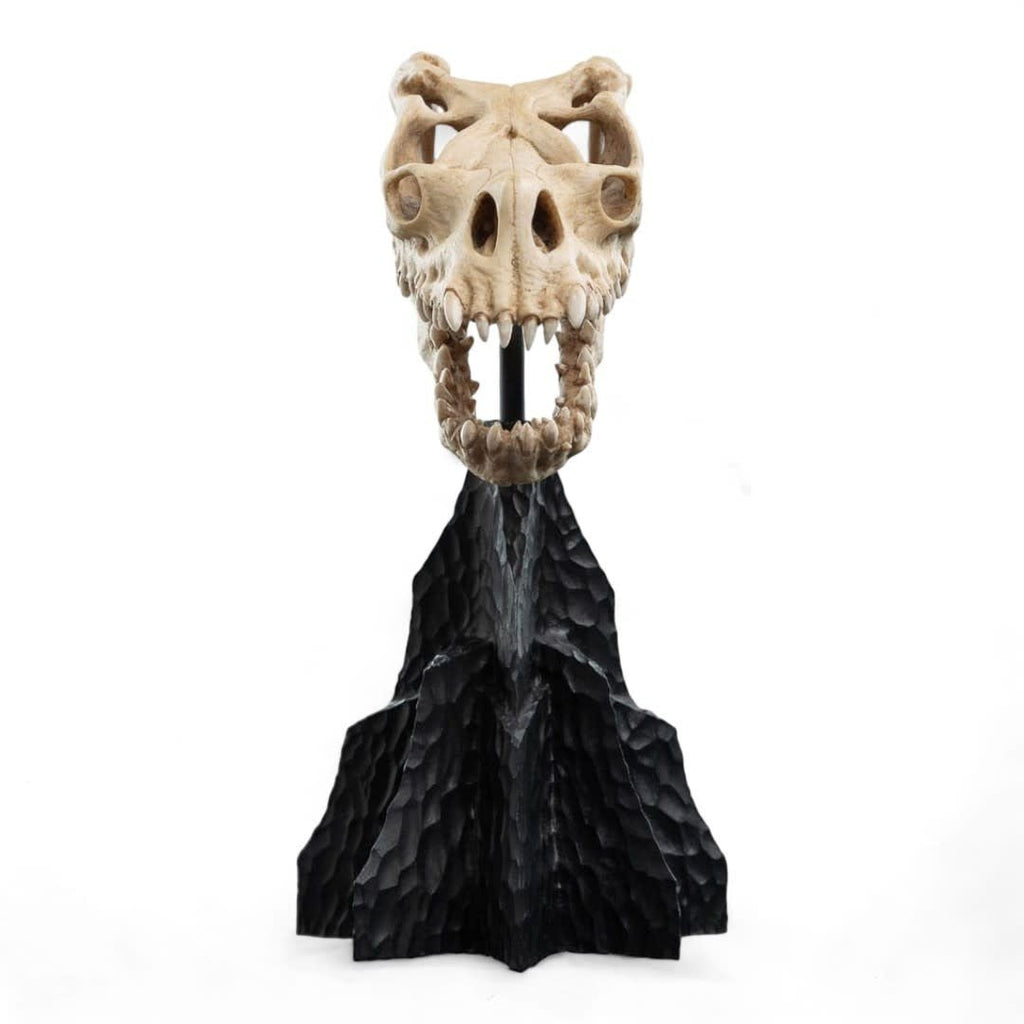 Lord of the Rings Mini Statue Skull of a Fell Beast 21 cm - Fans Geek Store