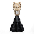 Lord of the Rings Mini Statue Skull of a Fell Beast 21 cm - Fans Geek Store