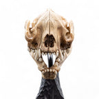 Lord of the Rings Mini Statue Skull of a Warg 20 cm - Fans Geek Store