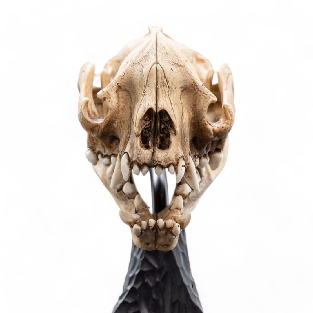 Lord of the Rings Mini Statue Skull of a Warg 20 cm - Fans Geek Store