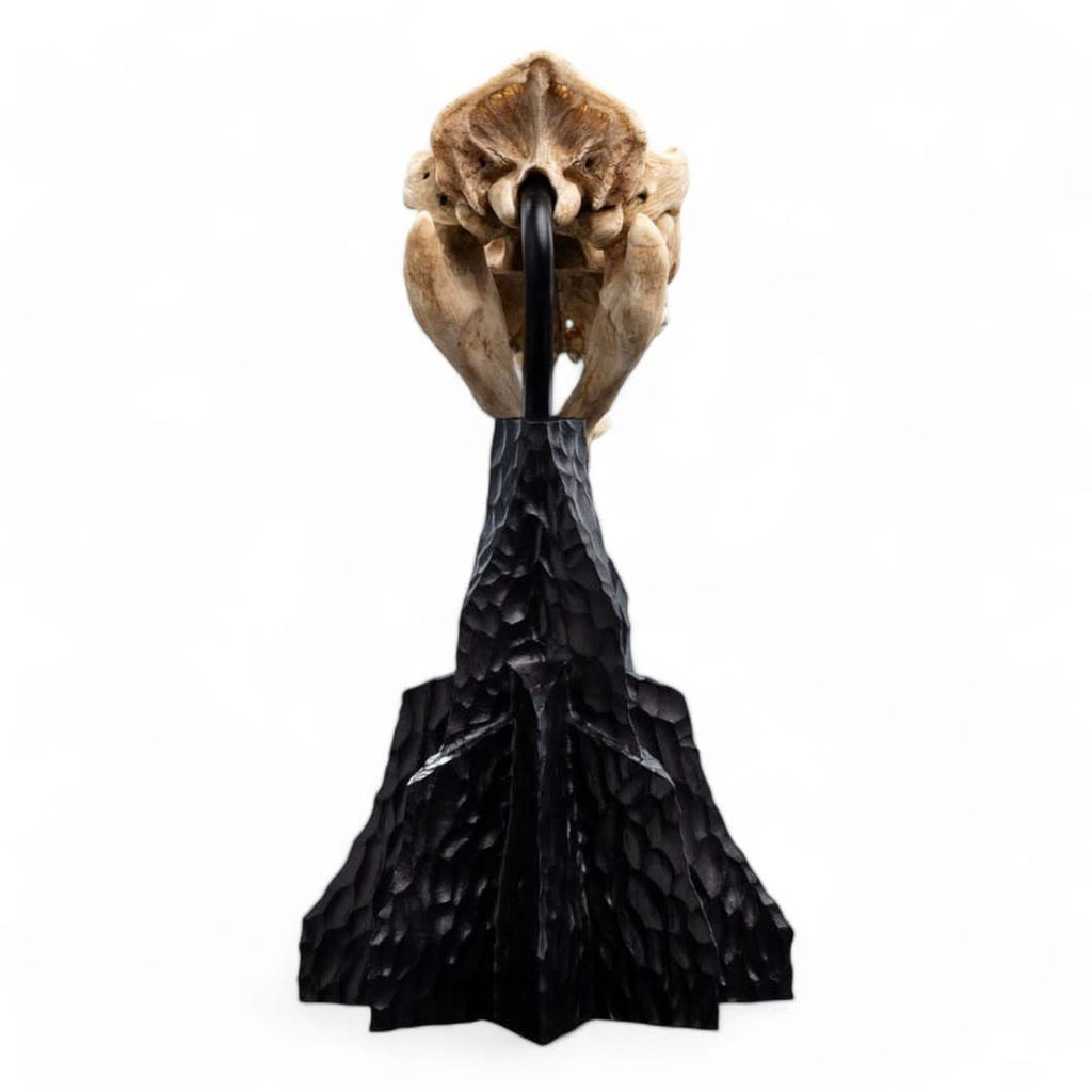 Lord of the Rings Mini Statue Skull of a Warg 20 cm - Fans Geek Store