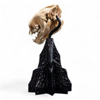 Lord of the Rings Mini Statue Skull of a Warg 20 cm - Fans Geek Store