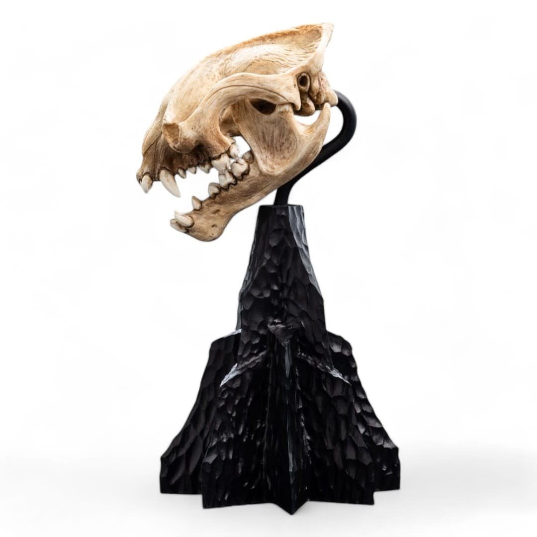Lord of the Rings Mini Statue Skull of a Warg 20 cm - Fans Geek Store