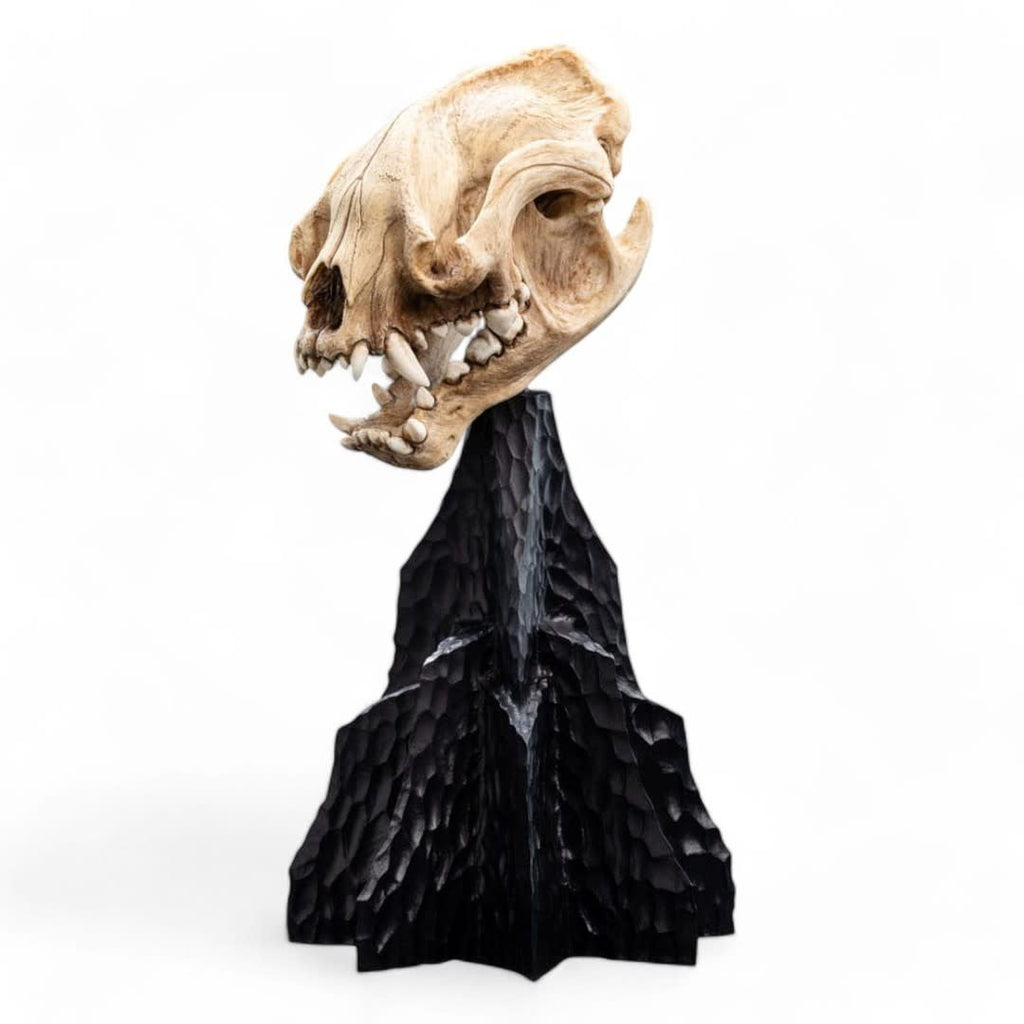 Lord of the Rings Mini Statue Skull of a Warg 20 cm - Fans Geek Store