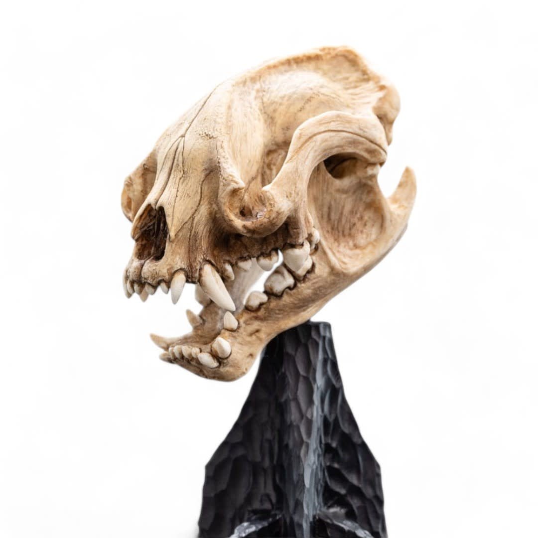 Lord of the Rings Mini Statue Skull of a Warg 20 cm - Fans Geek Store