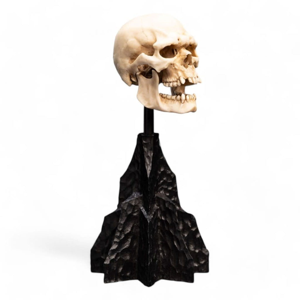 Lord of the Rings Mini Statue Skull of a Mordor Orc 14 cm - Fans Geek Store