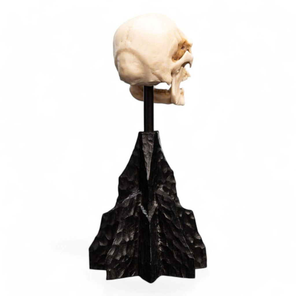 Lord of the Rings Mini Statue Skull of a Mordor Orc 14 cm - Fans Geek Store