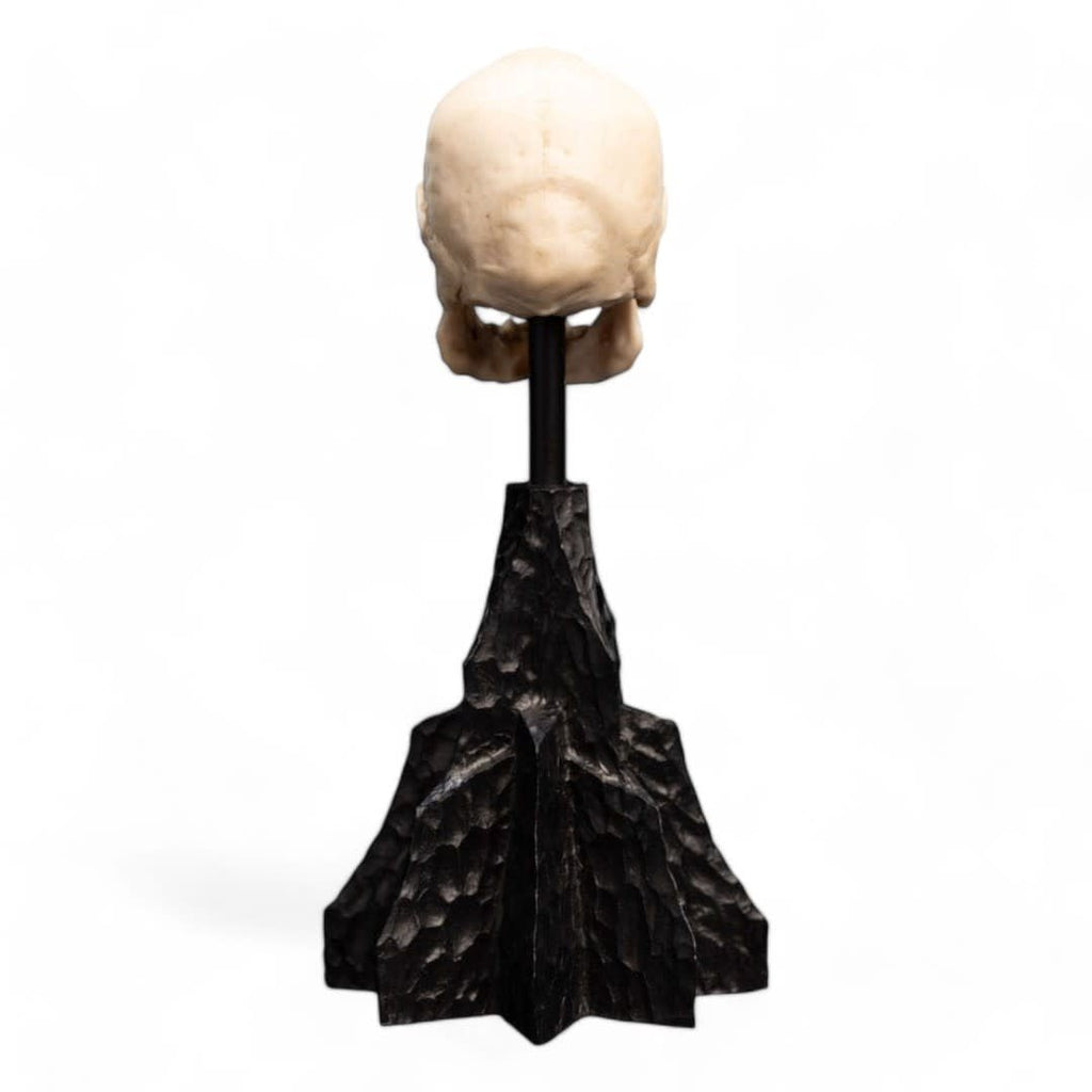 Lord of the Rings Mini Statue Skull of a Mordor Orc 14 cm - Fans Geek Store