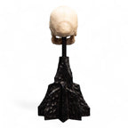 Lord of the Rings Mini Statue Skull of a Mordor Orc 14 cm - Fans Geek Store