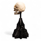 Lord of the Rings Mini Statue Skull of a Mordor Orc 14 cm - Fans Geek Store