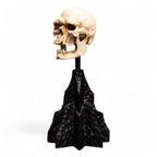 Lord of the Rings Mini Statue Skull of a Mordor Orc 14 cm - Fans Geek Store